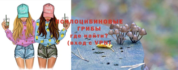 соль ск Медвежьегорск