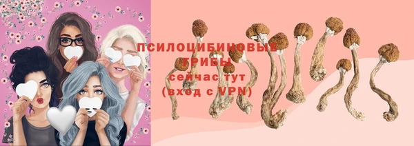 мяу мяу мука Медногорск
