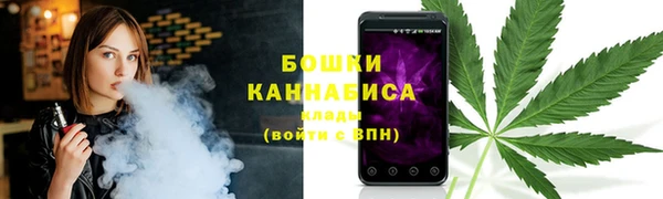 дживик Мегион