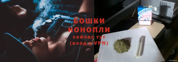 дживик Мегион