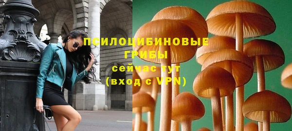 соль ск Медвежьегорск