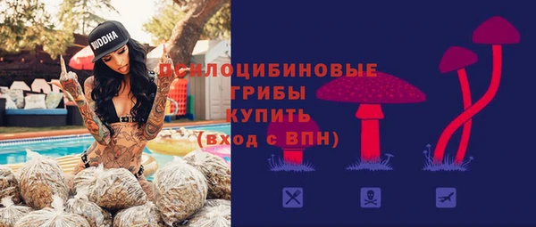 мяу мяу мука Медногорск