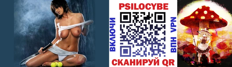 мега ссылка  Мещовск  Галлюциногенные грибы Psilocybe  где найти наркотики 